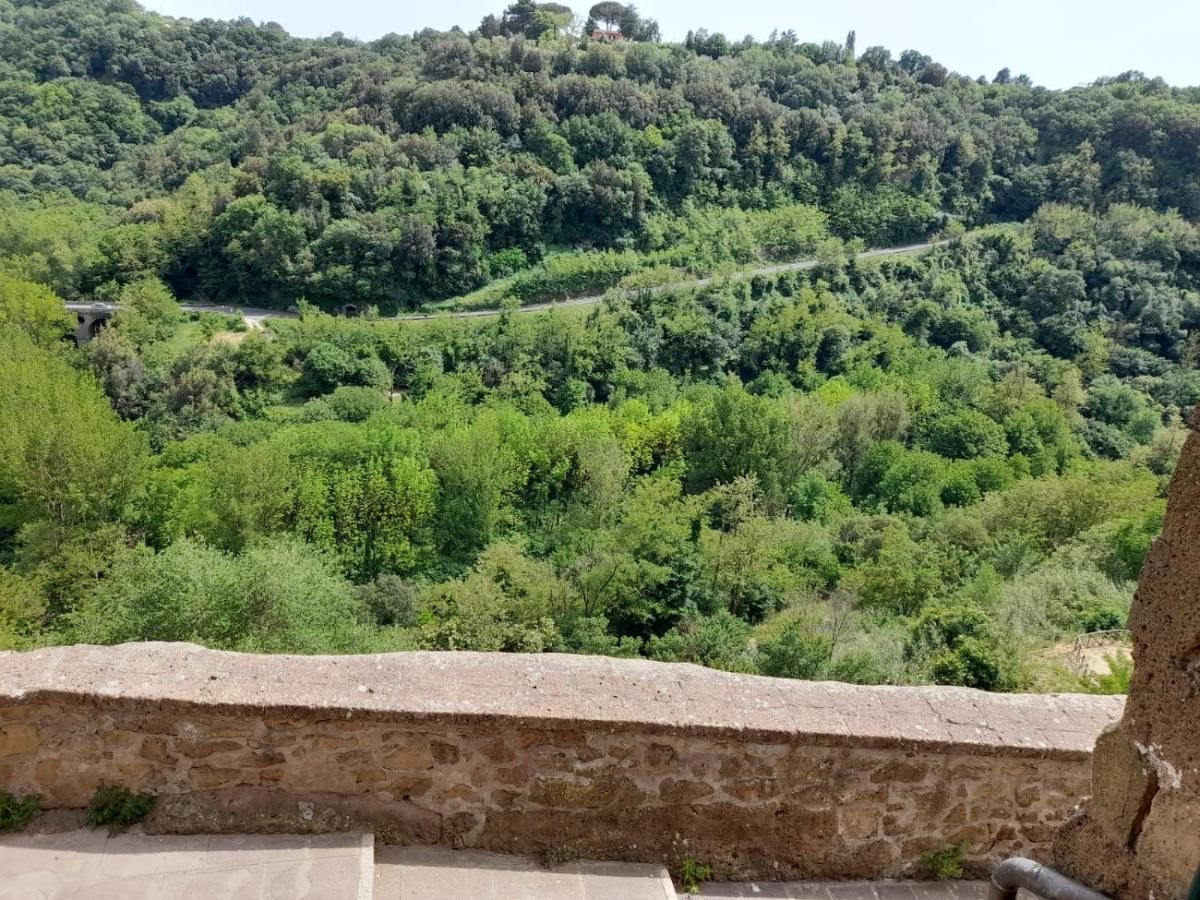 Il Gelsomino Apartment Pitigliano Exterior photo